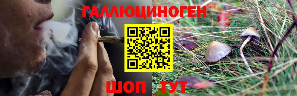 Галлюциногенные грибы Magic Shrooms  Вход с VPN  Псилоцибиновые грибы Magic Shrooms  Обь 